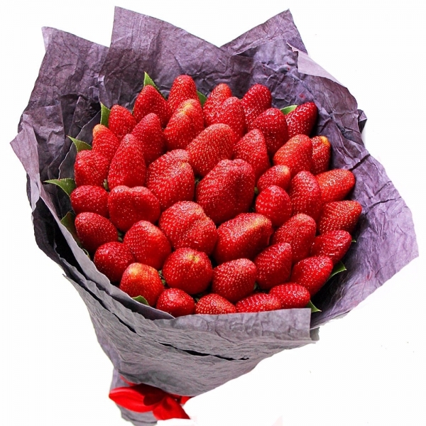 frutet 597