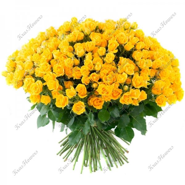 Желтая кустовая роза