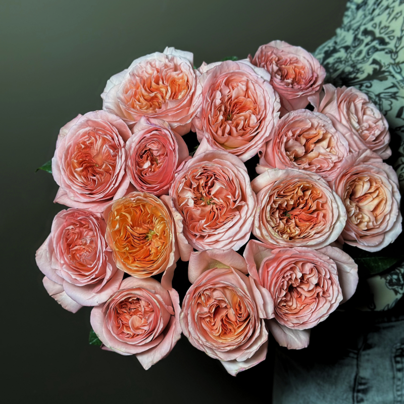 Розы Pink X-pression