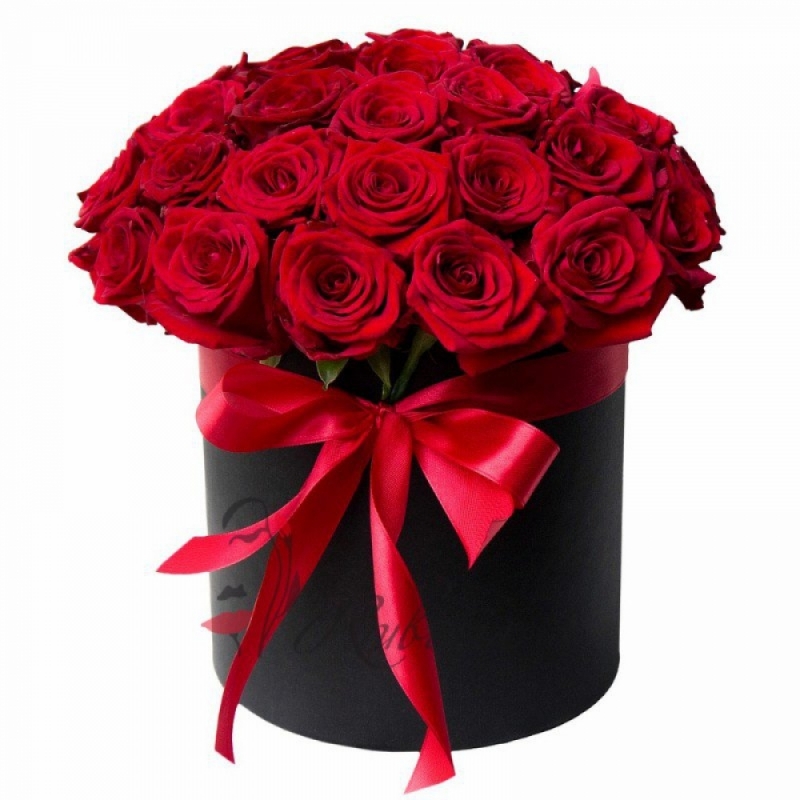 flowerbox 560: Красные премиальные розы Explorer