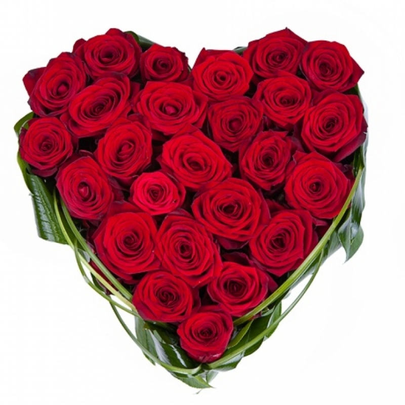 Сердце 31 Сердце 31