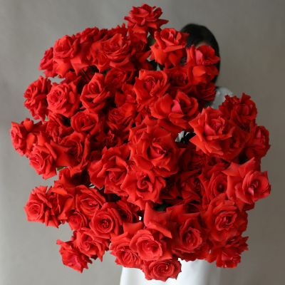 Французские розы Nina: французские розы Nina