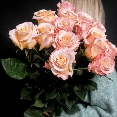Роза Shimmer: Эквадорская роза, премиальный сорт. Большой коралловый бутон! 