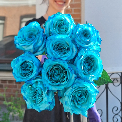 Синяя роза Candlelight: Премиальный эквадорский сорт Candlelight, 
 лепестки окрашены в синий цвет