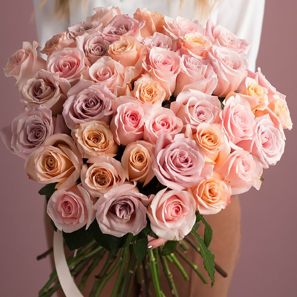 Роза Tiffani: Эквадорская кремовая роза. Премиальный сорт